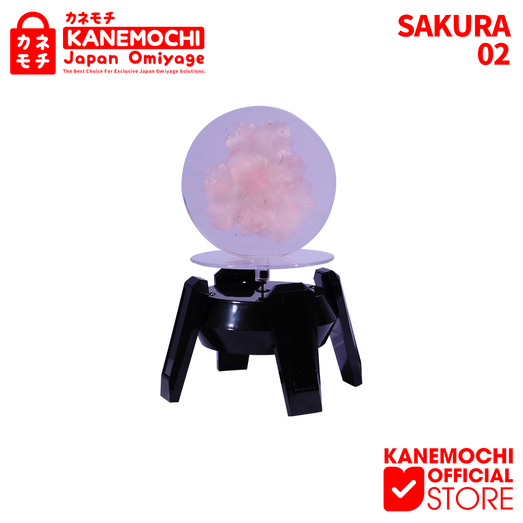 Varian SAKURAFREEZEBULAT DIAMETER 6,3CM 02 dari KANEMOCHI ORNAMEN SAKURA FREEZE - BUNGA SAKURA YAN...