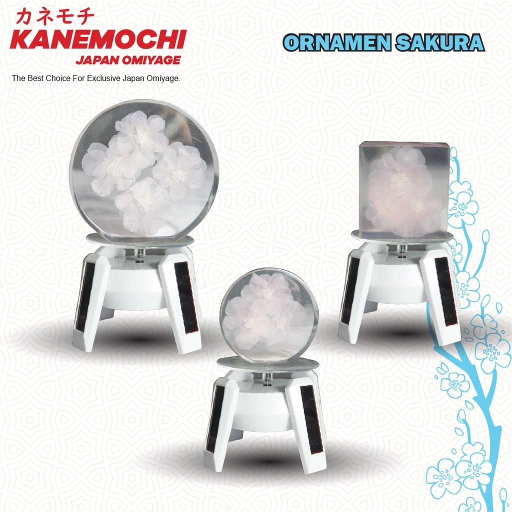 Varian 1 dari KANEMOCHI SOLAR ROTATING DISPLAY STAND -TEMPAT PAJ...