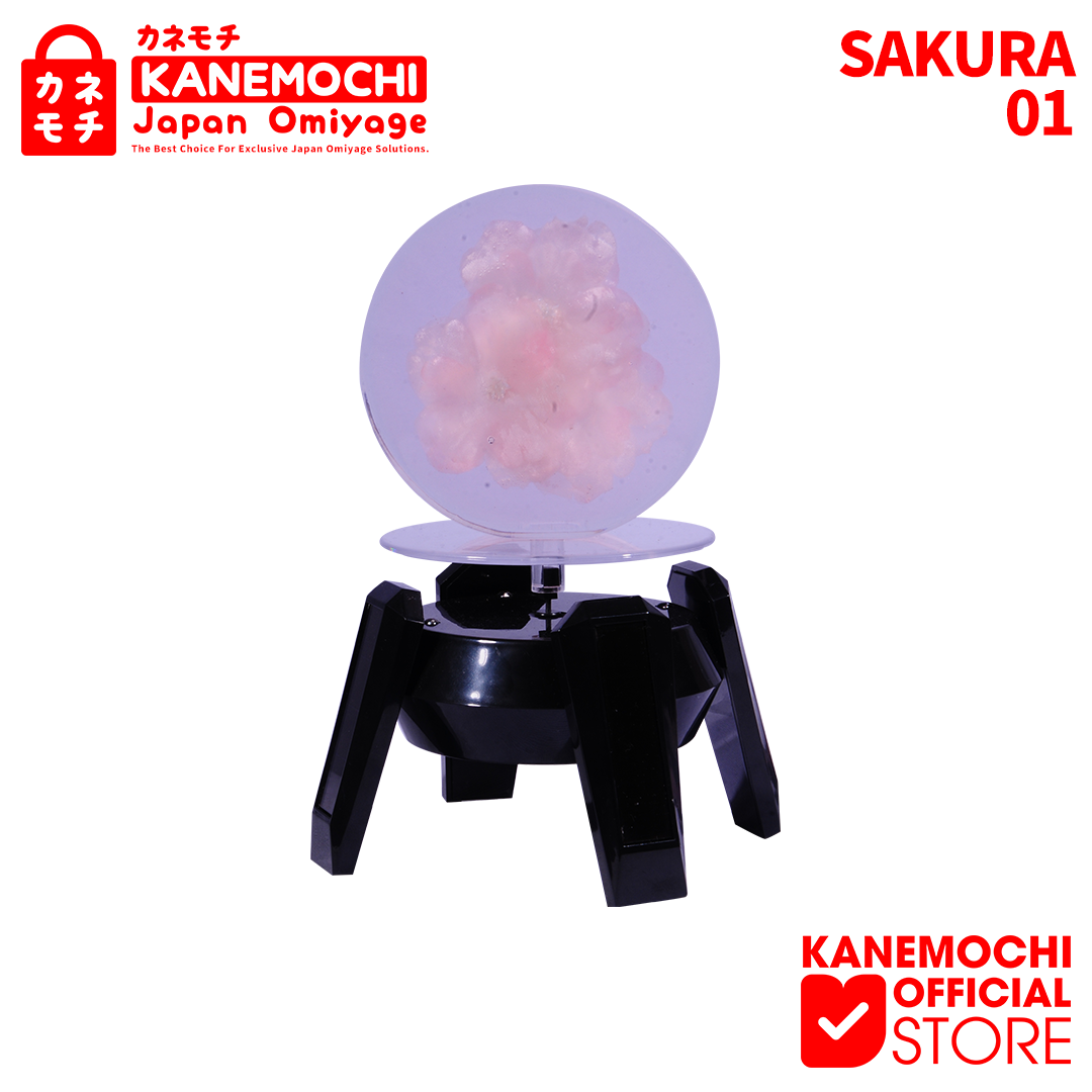 Varian SAKURAFREEZEBULAT DIAMETER 8,9CM 01 dari KANEMOCHI ORNAMEN SAKURA FREEZE - BUNGA SAKURA YAN...